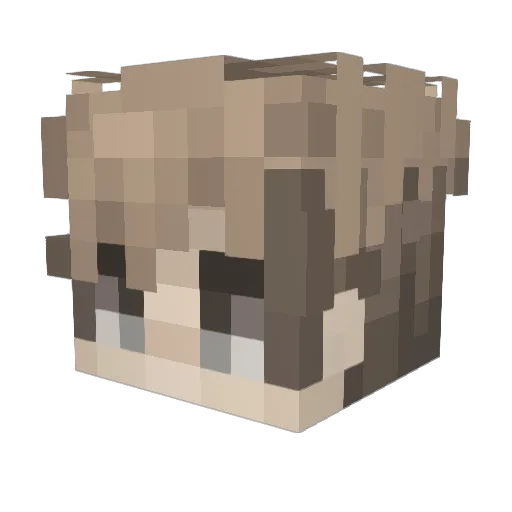 _ACC013_ Minecraft avatar head, 3D render