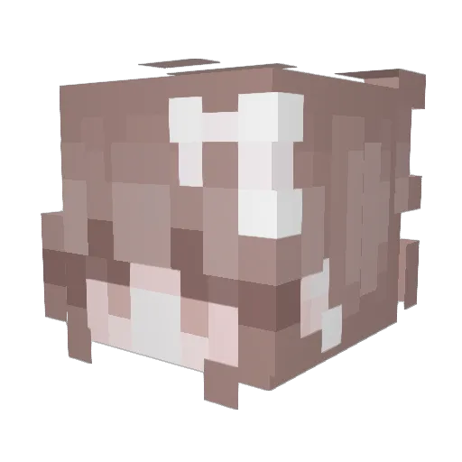 _ANG3L_1 Minecraft avatar head, 3D render