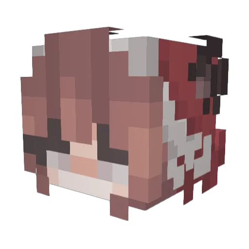 _ANI_YT Minecraft avatar head, 3D render