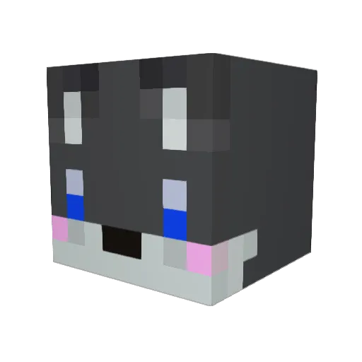 _AP0110_ Minecraft avatar head, 3D render