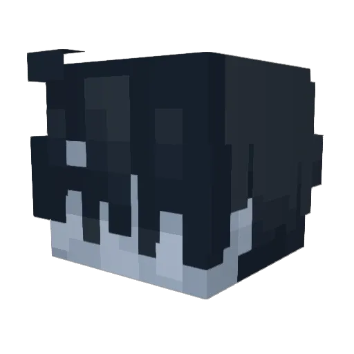 _ASM0D3US Minecraft avatar head, 3D render