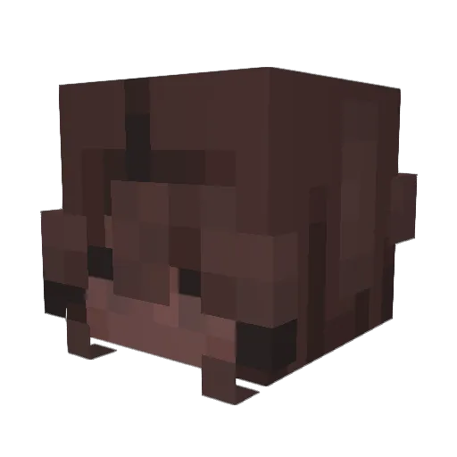 _AYJ4Y Minecraft avatar head, 3D render