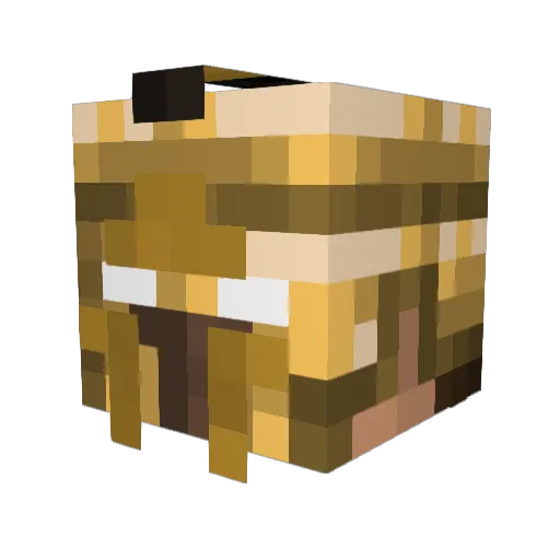 _A_J_A_X_ Minecraft avatar head, 3D render