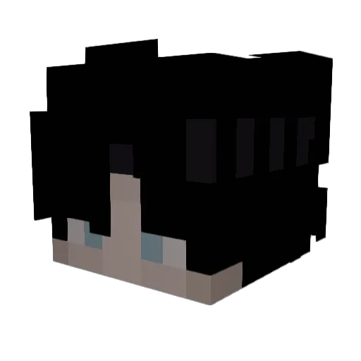_Aan_ Minecraft avatar head, 3D render