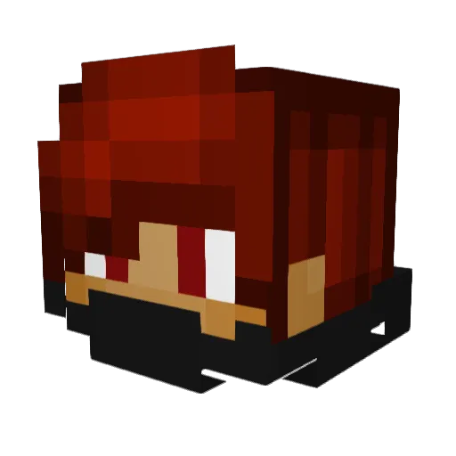 _Aar0n Minecraft avatar head, 3D render
