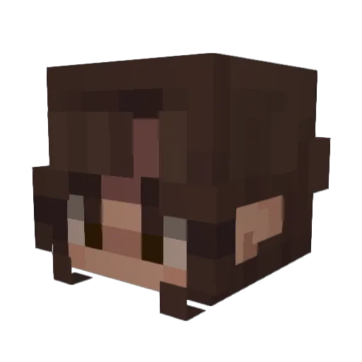 _AbbyIsHere_ Minecraft avatar head, 3D render