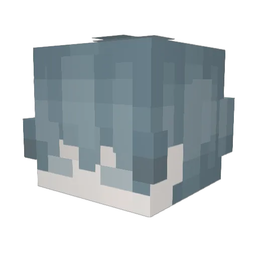 _Aced__ Minecraft avatar head, 3D render