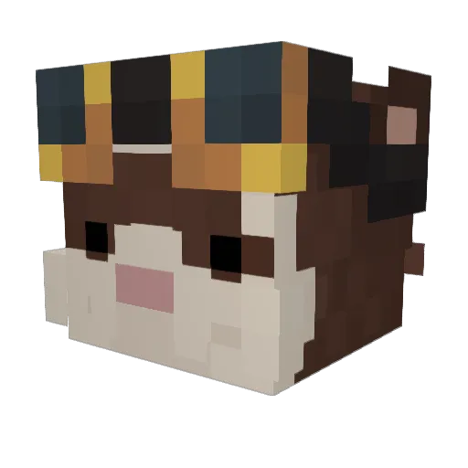 _Adam16_ Minecraft avatar head, 3D render