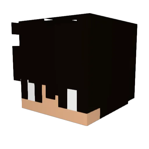 _Adrian_Martin_ Minecraft avatar head, 3D render