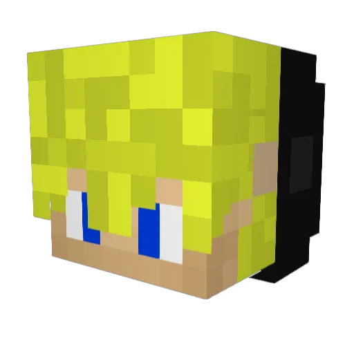 _Adus_ Minecraft avatar head, 3D render