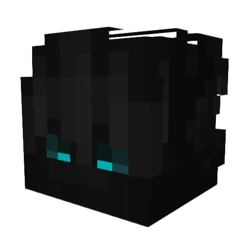 _Advisers_ Minecraft avatar head, 3D render