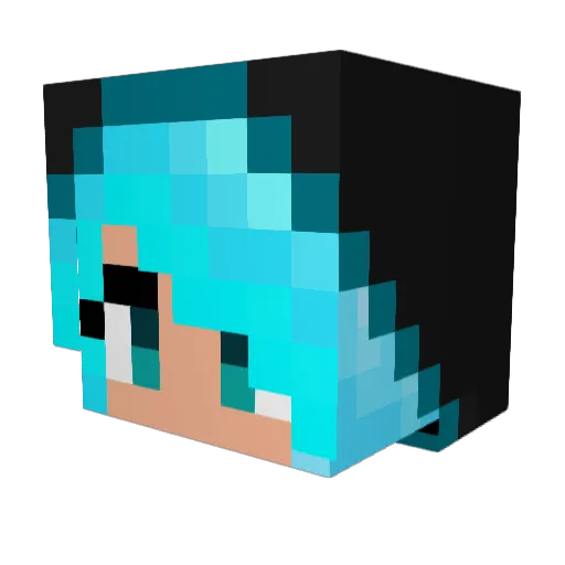 _Aedon_ Minecraft avatar head, 3D render