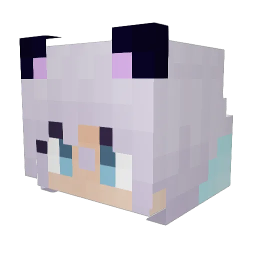 _Aeryon Minecraft avatar head, 3D render