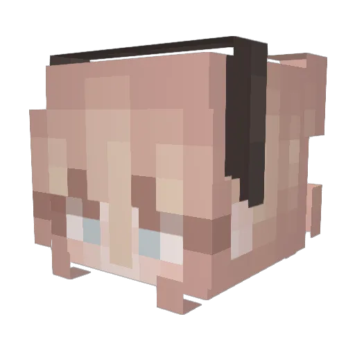 _AestheticAngel_ Minecraft avatar head, 3D render