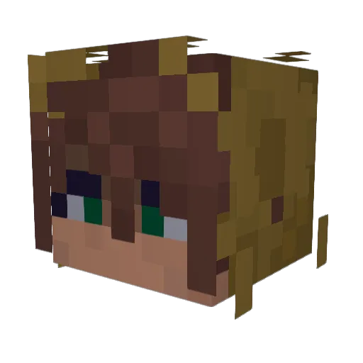_Aetheria Minecraft avatar head, 3D render