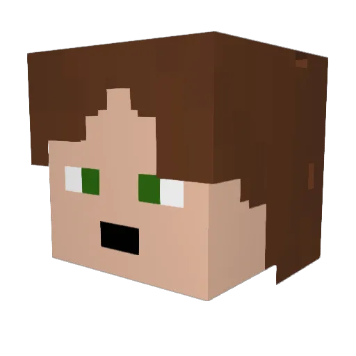 _Aid3n_ Minecraft avatar head, 3D render