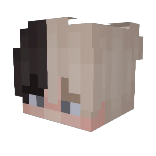 _AimNoblye_ Minecraft avatar head, 3D render