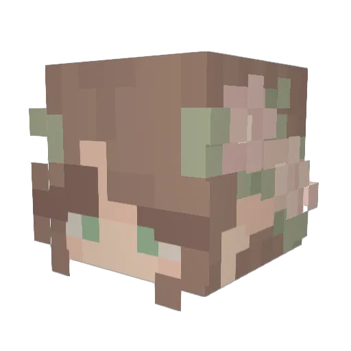 _Aina Minecraft avatar head, 3D render