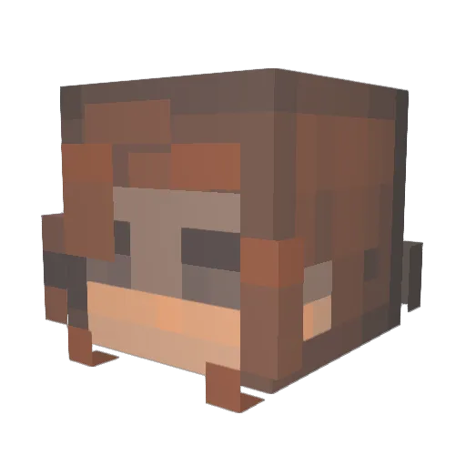 _Air_Canada_ Minecraft avatar head, 3D render