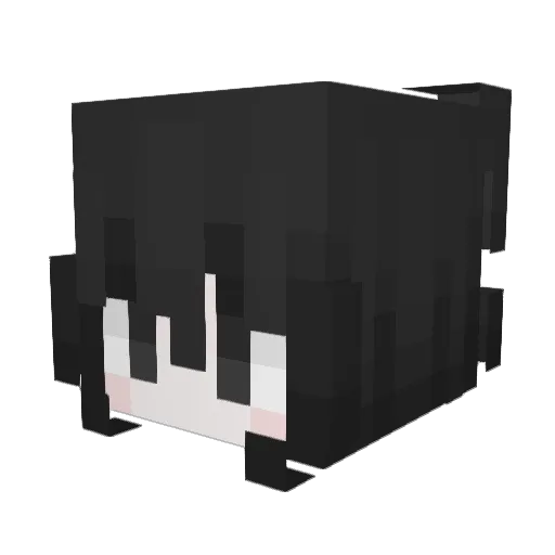 _Akirax_ Minecraft avatar head, 3D render