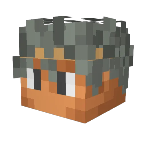 _Aku0 Minecraft avatar head, 3D render
