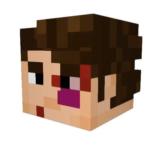 _AlexTheGamer_ Minecraft avatar head, 3D render