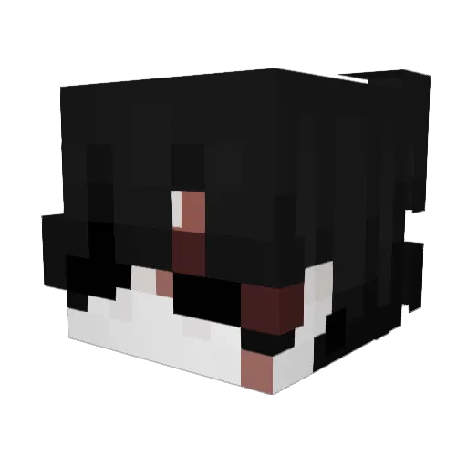 _Alexis10 Minecraft avatar head, 3D render