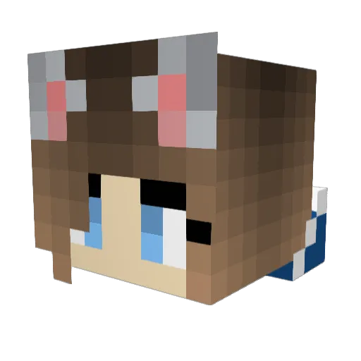 _Alicorn_580 Minecraft avatar head, 3D render
