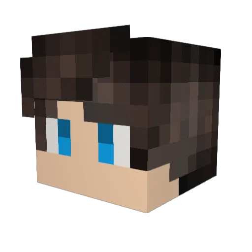 _Allqn_CR Minecraft avatar head, 3D render
