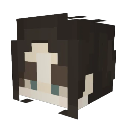 _AlphaPenguin_ Minecraft avatar head, 3D render