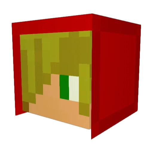 _AlwaysWatching_ Minecraft avatar head, 3D render