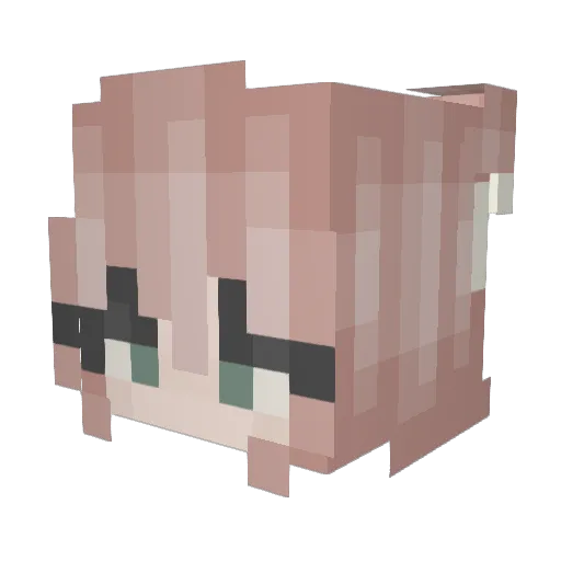 _Amari Minecraft avatar head, 3D render