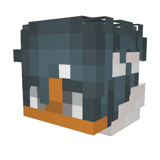 _Amateur_ Minecraft avatar head, 3D render