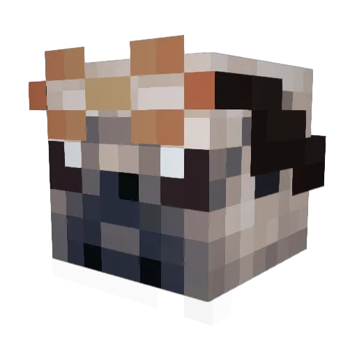 _American_Doggo_ Minecraft avatar head, 3D render