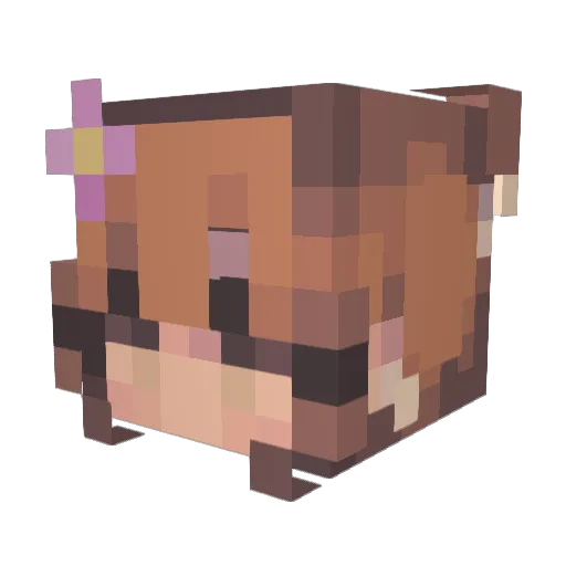 _Amni_ Minecraft avatar head, 3D render