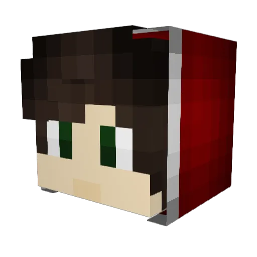 _AnarchyPainGuy Minecraft avatar head, 3D render