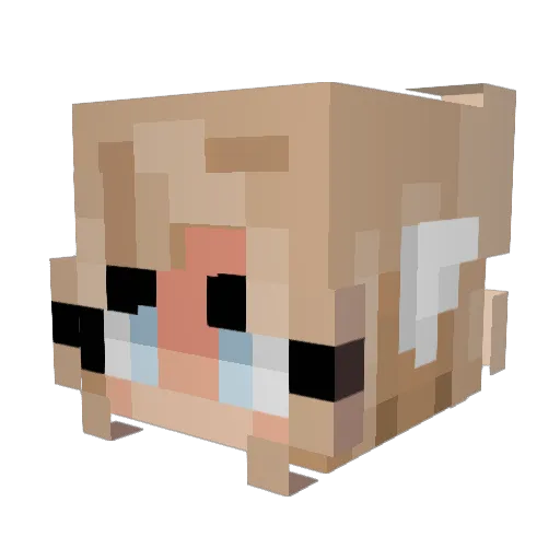 _AngelOfWrath_ Minecraft avatar head, 3D render