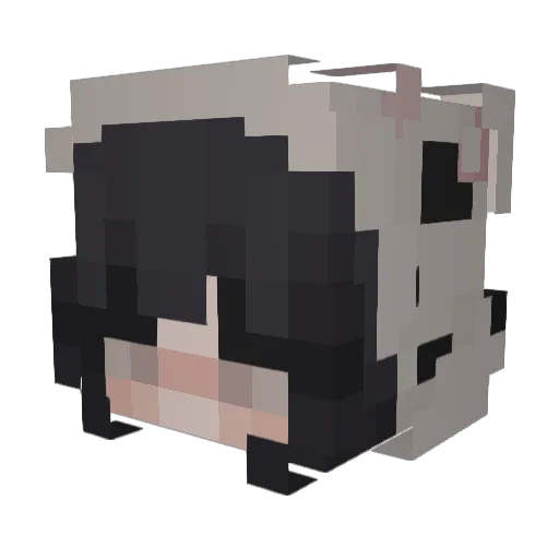 _Anii_ Minecraft avatar head, 3D render