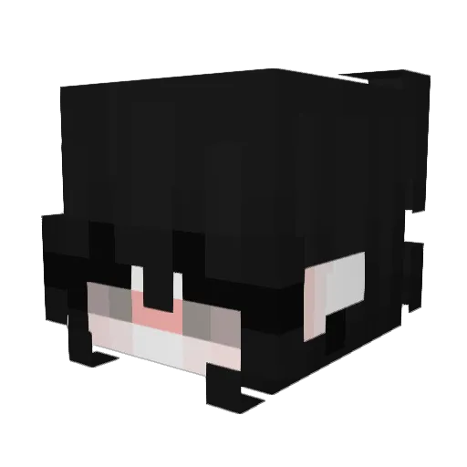 _AnimeEnthusiast Minecraft avatar head, 3D render