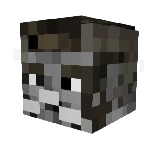 _Annie06 Minecraft avatar head, 3D render