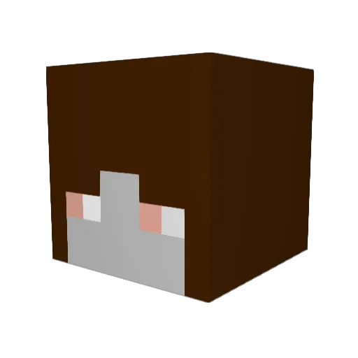 _Annschii_ Minecraft avatar head, 3D render