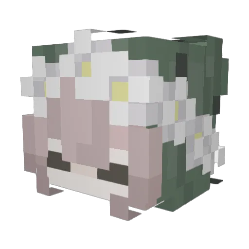 _Anonim_456 Minecraft avatar head, 3D render