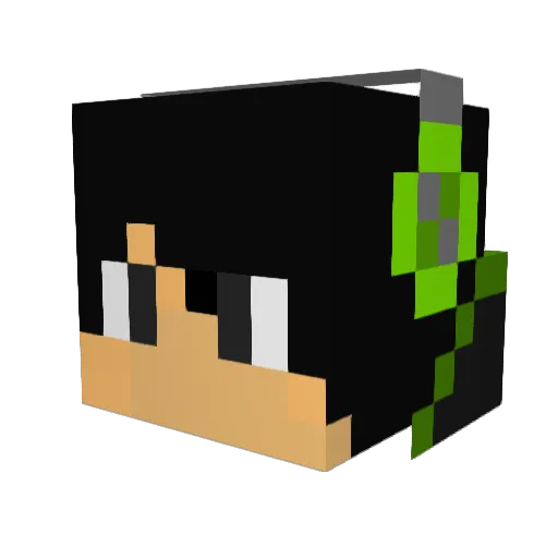 _AnonyCraft_ Minecraft avatar head, 3D render