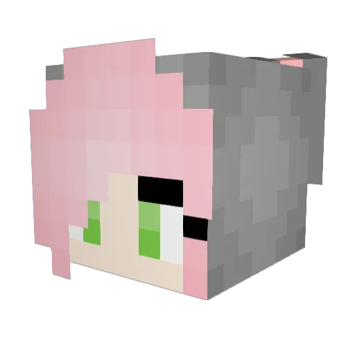 _Anouk105_ Minecraft avatar head, 3D render