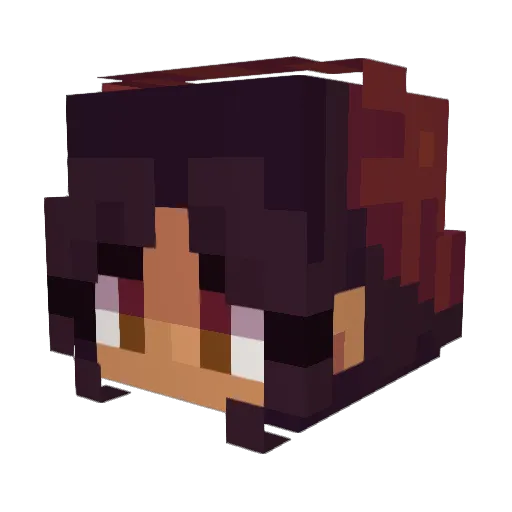 _Anox__ Minecraft avatar head, 3D render