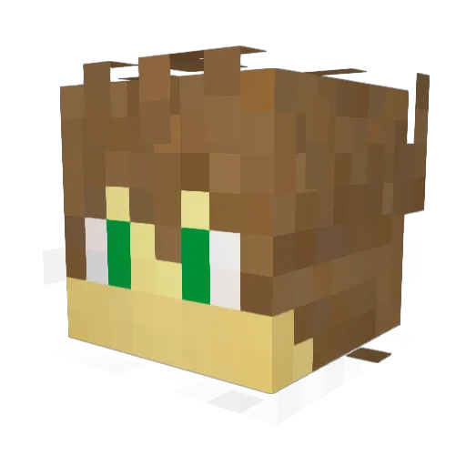 _Anywayz_ Minecraft avatar head, 3D render