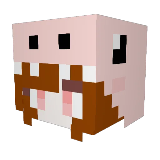 _Aoez Minecraft avatar head, 3D render