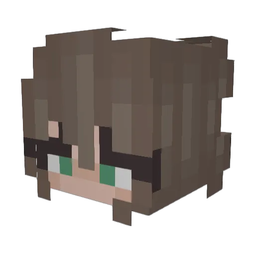_Apidae_ Minecraft avatar head, 3D render