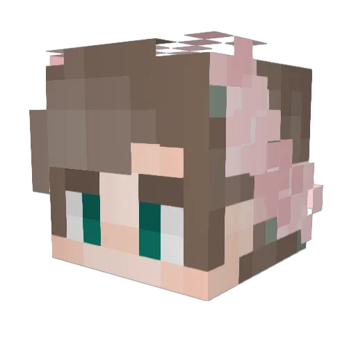_Apple___ Minecraft avatar head, 3D render