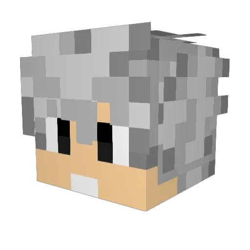 _AquX Minecraft avatar head, 3D render